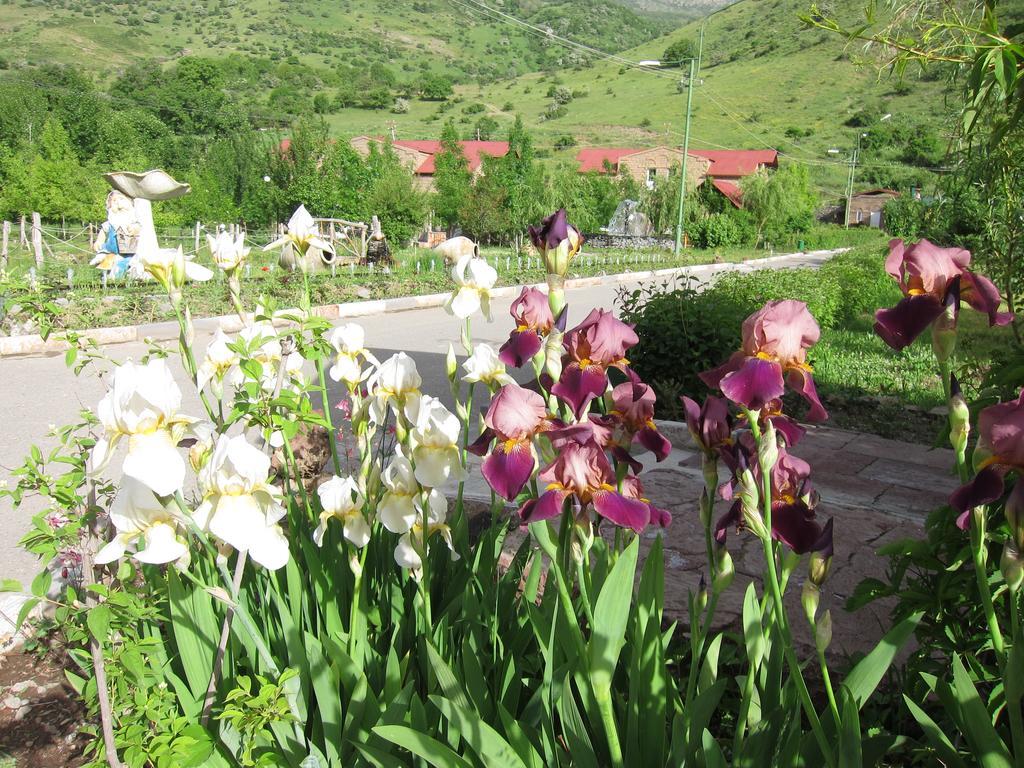 Lucytour Hotel Hermon 외부 사진